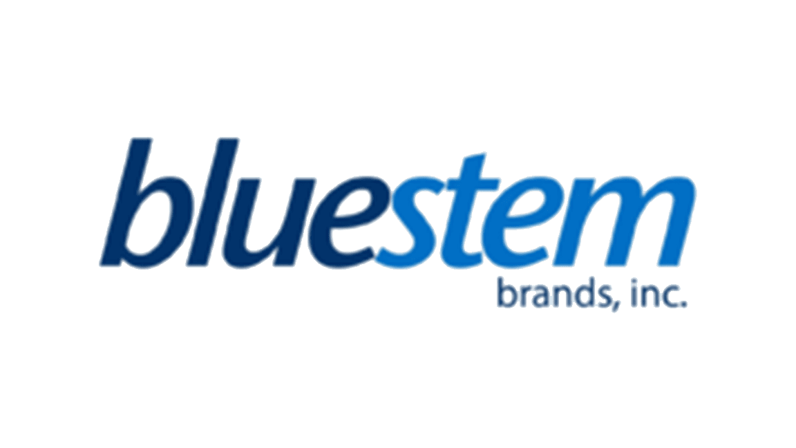 Bluesteam-logo